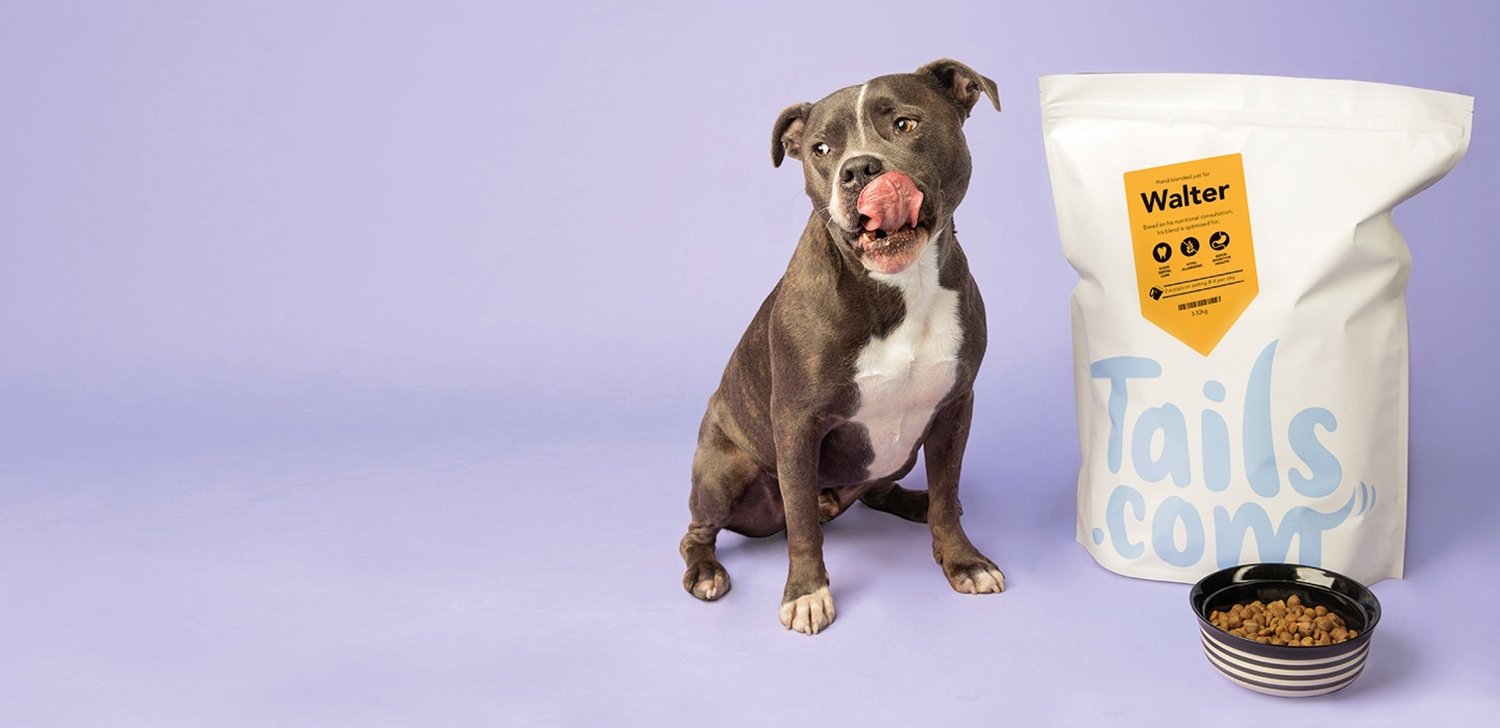 Chien avec croquettes Tails