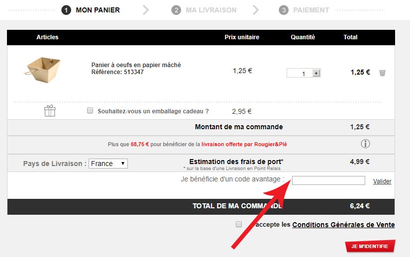 Utiliser un code promo Rougier & Plé