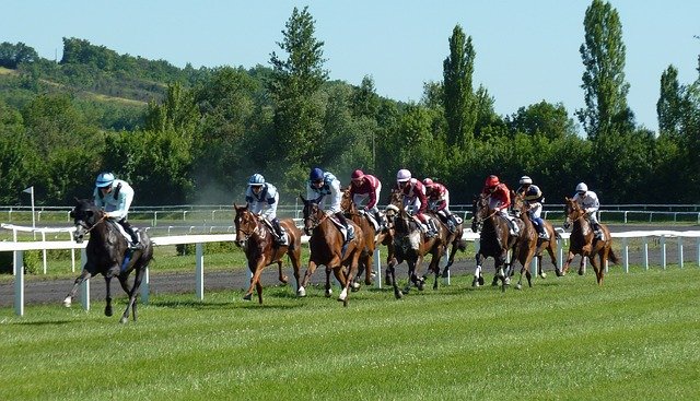 Course hippique PMU