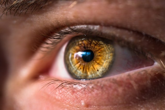 Lentilles de contact